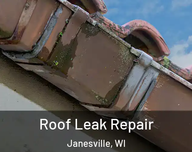  Roof Leak Repair Janesville, WI